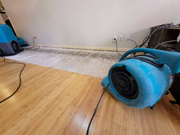 Professional Basement Flood Cleanup technician working in Jackson, SC